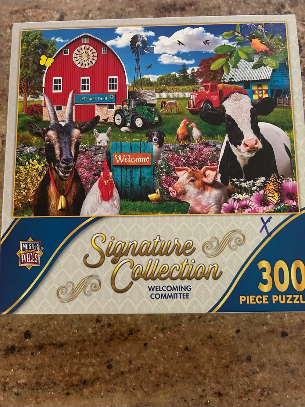 300 piece puzzle